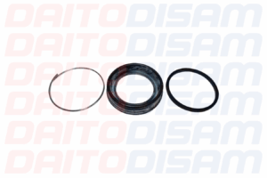 REPARACION DE CALIPER X-LADO