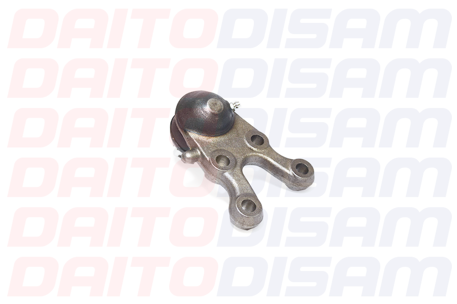 ROTULA INFERIOR RH - Imagen 3