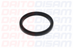 ORRING TERMOSTATO